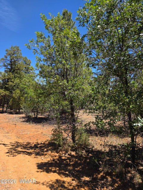 Tiny photo for 731 S Barberry Lane, Show Low, AZ 85901 (MLS # 261522)