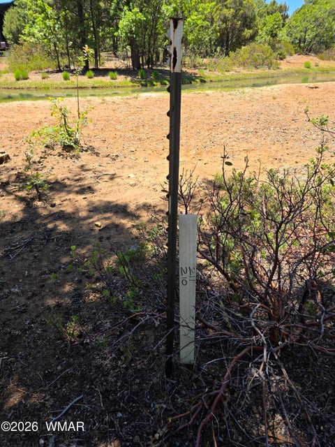 Tiny photo for 731 S Barberry Lane, Show Low, AZ 85901 (MLS # 261522)