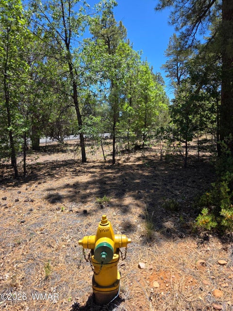 Tiny photo for 731 S Barberry Lane, Show Low, AZ 85901 (MLS # 261522)