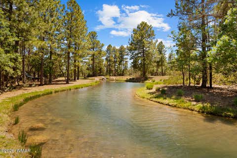 Tiny photo for 731 S Barberry Lane, Show Low, AZ 85901 (MLS # 261522)