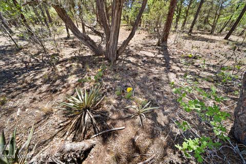 Tiny photo for 731 S Barberry Lane, Show Low, AZ 85901 (MLS # 261522)