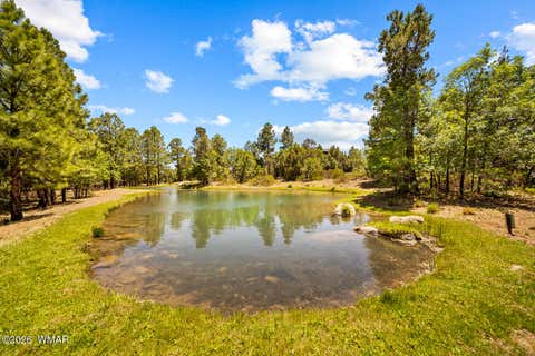 Tiny photo for 731 S Barberry Lane, Show Low, AZ 85901 (MLS # 261522)