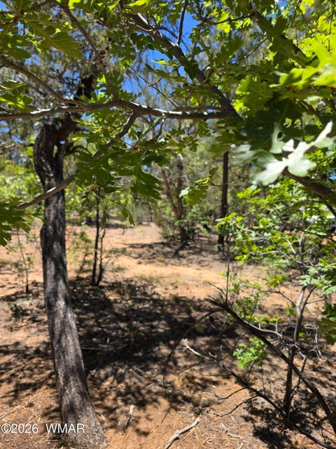 Tiny photo for 731 S Barberry Lane, Show Low, AZ 85901 (MLS # 261522)
