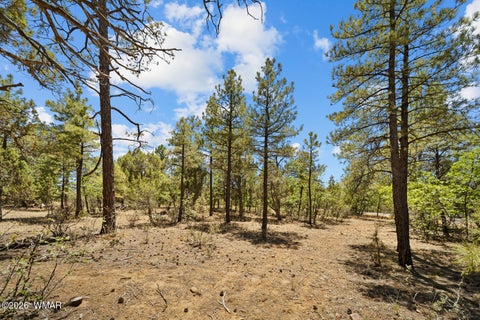 Photo of 731 S Barberry Lane, Show Low, AZ 85901 (MLS # 261522)