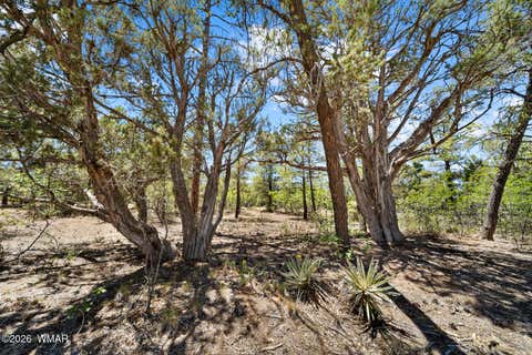 Tiny photo for 731 S Barberry Lane, Show Low, AZ 85901 (MLS # 261522)