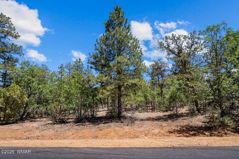 Tiny photo for 731 S Barberry Lane, Show Low, AZ 85901 (MLS # 261522)