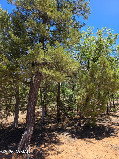 Tiny photo for 731 S Barberry Lane, Show Low, AZ 85901 (MLS # 261522)