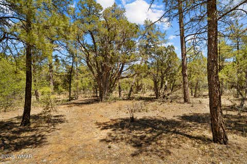 Tiny photo for 731 S Barberry Lane, Show Low, AZ 85901 (MLS # 261522)