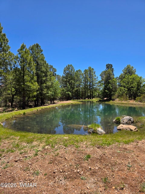 Photo of 731 S Barberry Lane, Show Low, AZ 85901 (MLS # 261522)