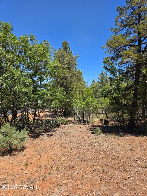 Tiny photo for 731 S Barberry Lane, Show Low, AZ 85901 (MLS # 261522)