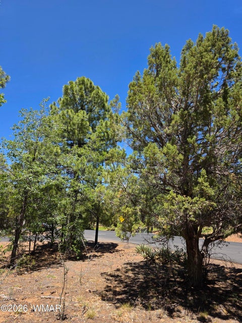 Tiny photo for 731 S Barberry Lane, Show Low, AZ 85901 (MLS # 261522)