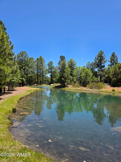 Tiny photo for 731 S Barberry Lane, Show Low, AZ 85901 (MLS # 261522)