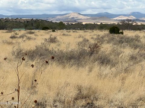 Photo of TBD E Highway 60, Springerville, AZ 85938 (MLS # 255816)