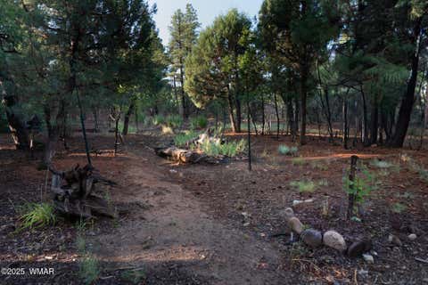 Tiny photo for 3401 W Blazingstar Road, Show Low, AZ 85901 (MLS # 261099)
