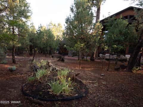 Tiny photo for 3401 W Blazingstar Road, Show Low, AZ 85901 (MLS # 261099)