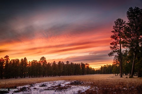 Tiny photo for 676 W Rim Road, Pinetop, AZ 85935 (MLS # 262997)