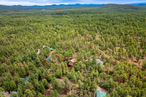 Tiny photo for 676 W Rim Road, Pinetop, AZ 85935 (MLS # 262997)