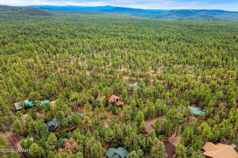 Tiny photo for 676 W Rim Road, Pinetop, AZ 85935 (MLS # 262997)