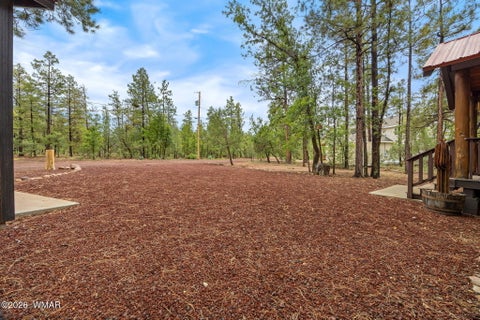Tiny photo for 676 W Rim Road, Pinetop, AZ 85935 (MLS # 262997)