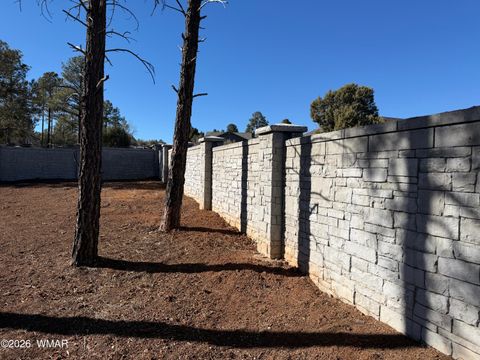 Tiny photo for 241 W White Fir Drive, Show Low, AZ 85901 (MLS # 259178)