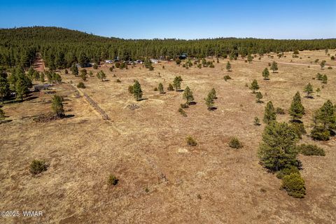 Tiny photo for 9321 Mountain Meadow Lane, Lakeside, AZ 85929 (MLS # 256257)