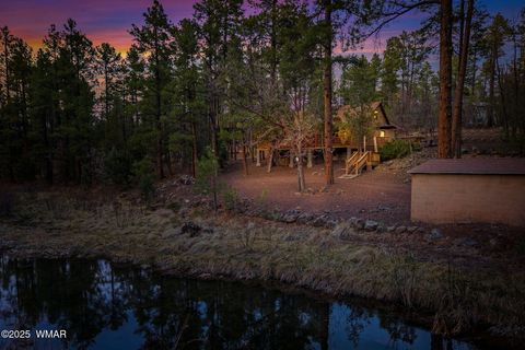 Tiny photo for 571 W Pine Shadow Drive, Lakeside, AZ 85929 (MLS # 259906)