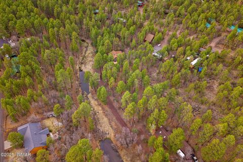 Tiny photo for 571 W Pine Shadow Drive, Lakeside, AZ 85929 (MLS # 259906)