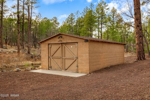 Tiny photo for 571 W Pine Shadow Drive, Lakeside, AZ 85929 (MLS # 259906)
