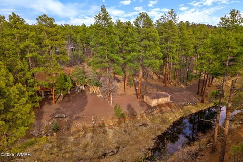 Tiny photo for 571 W Pine Shadow Drive, Lakeside, AZ 85929 (MLS # 259906)