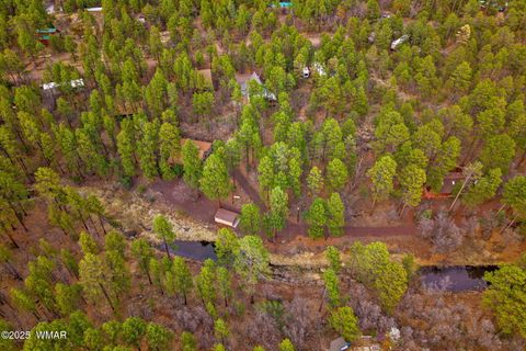 Tiny photo for 571 W Pine Shadow Drive, Lakeside, AZ 85929 (MLS # 259906)