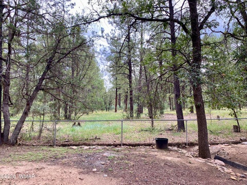 Tiny photo for 4789 S Indian Trail, Show Low, AZ 85901 (MLS # 263085)