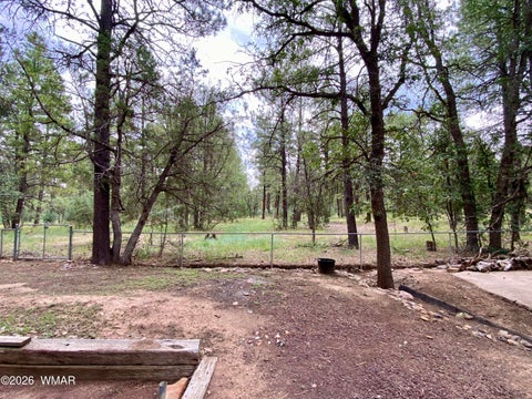 Tiny photo for 4789 S Indian Trail, Show Low, AZ 85901 (MLS # 263085)