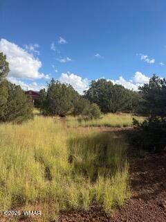 Photo of 1765 Bighorn Place, Show Low, AZ 85901 (MLS # 263625)