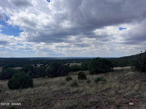 Tiny photo for 9286 Blackberry Lane, Show Low, AZ 85901 (MLS # 259316)