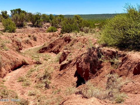 Tiny photo for 9286 Blackberry Lane, Show Low, AZ 85901 (MLS # 259316)