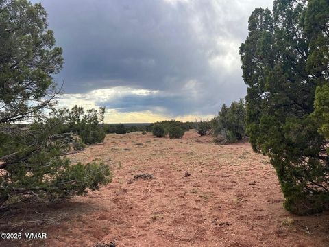 Tiny photo for 9286 Blackberry Lane, Show Low, AZ 85901 (MLS # 259316)