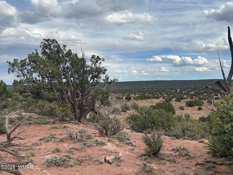 Tiny photo for 9286 Blackberry Lane, Show Low, AZ 85901 (MLS # 259316)