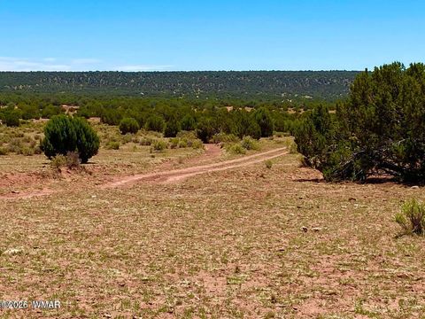 Tiny photo for 9286 Blackberry Lane, Show Low, AZ 85901 (MLS # 259316)