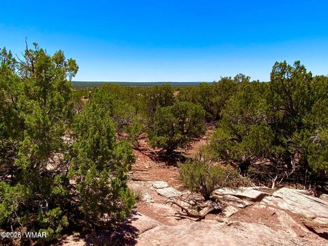 Tiny photo for 9286 Blackberry Lane, Show Low, AZ 85901 (MLS # 259316)