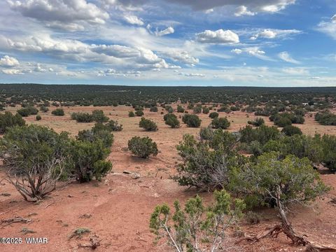 Tiny photo for 9286 Blackberry Lane, Show Low, AZ 85901 (MLS # 259316)