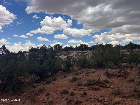 Tiny photo for 9286 Blackberry Lane, Show Low, AZ 85901 (MLS # 259316)