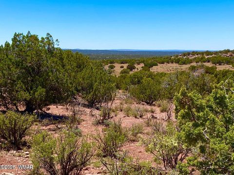 Tiny photo for 9286 Blackberry Lane, Show Low, AZ 85901 (MLS # 259316)