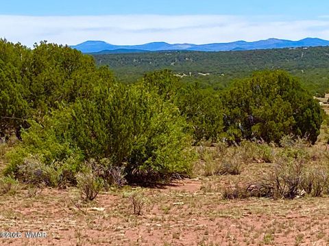 Tiny photo for 9286 Blackberry Lane, Show Low, AZ 85901 (MLS # 259316)