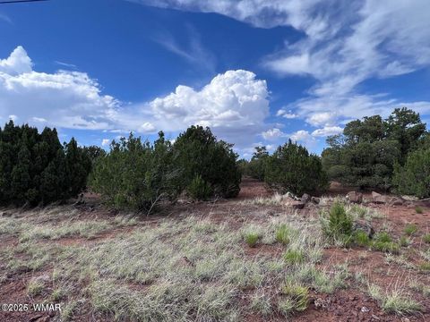 Tiny photo for 9286 Blackberry Lane, Show Low, AZ 85901 (MLS # 259316)