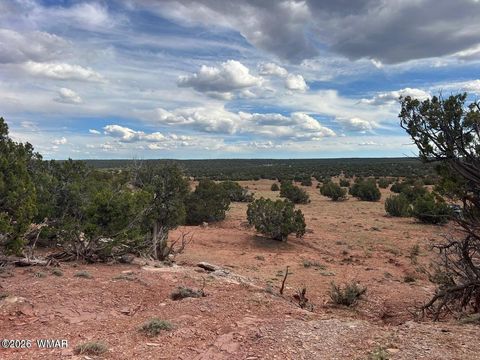 Tiny photo for 9286 Blackberry Lane, Show Low, AZ 85901 (MLS # 259316)