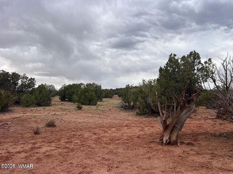 Tiny photo for 9286 Blackberry Lane, Show Low, AZ 85901 (MLS # 259316)