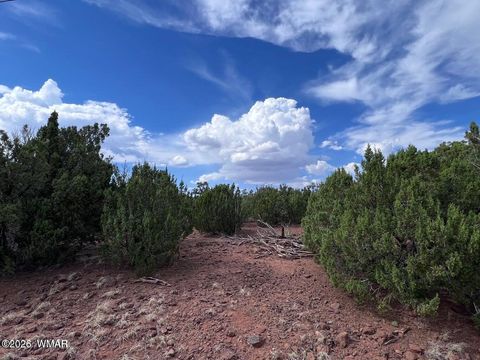 Tiny photo for 9286 Blackberry Lane, Show Low, AZ 85901 (MLS # 259316)