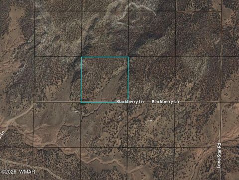 Tiny photo for 9286 Blackberry Lane, Show Low, AZ 85901 (MLS # 259316)