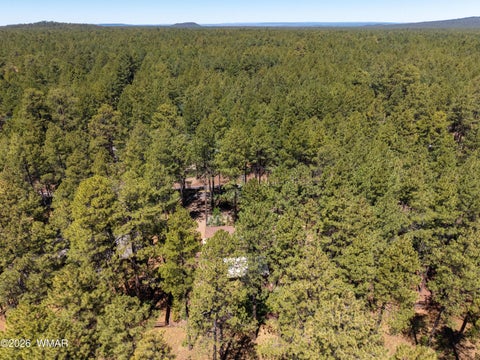 Tiny photo for 8745 Country Club Drive, Pinetop, AZ 85935 (MLS # 262014)