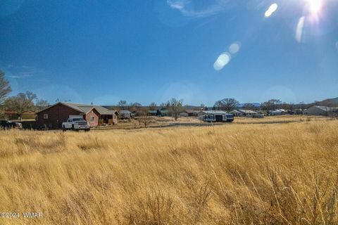 Tiny photo for 441 N West Street, Springerville, AZ 85938 (MLS # 253927)